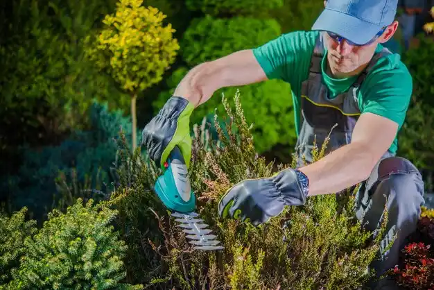 landscaping services Gardner